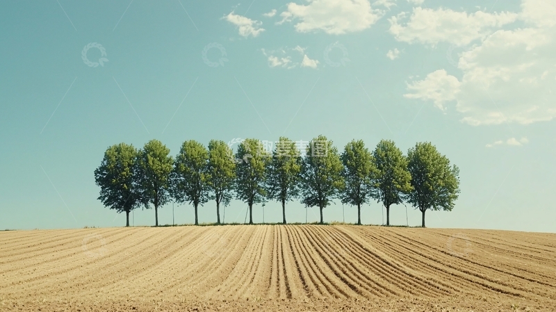 高清大图下载【趣麦麦图】田野里排列整齐的树木