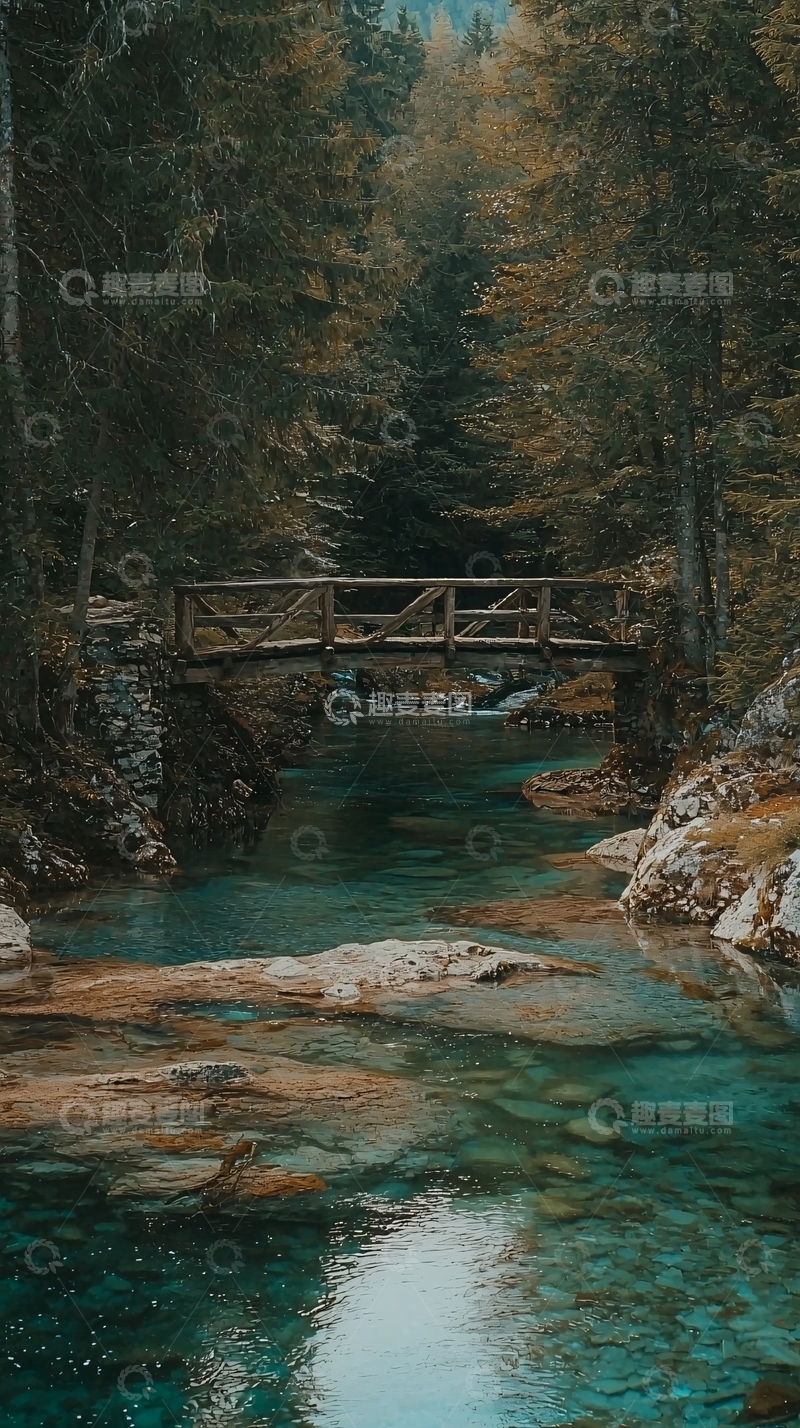 高清大图下载【趣麦麦图】森林小溪木桥