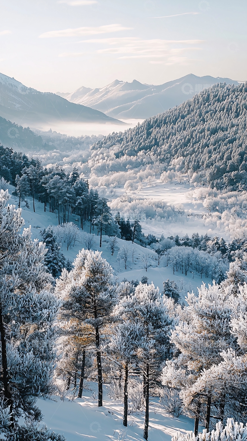 高清大图下载【趣麦麦图】雪山森林雾气清晨