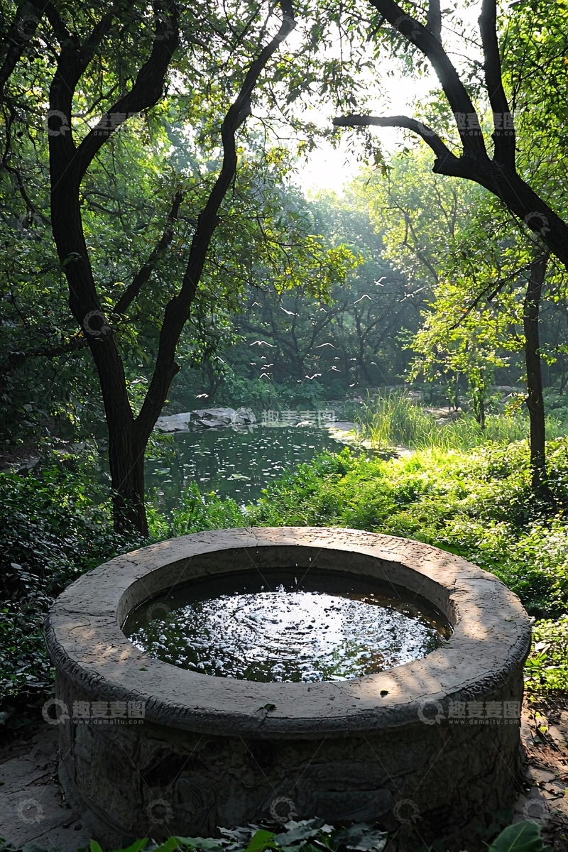 高清大图下载【趣麦麦图】树荫下的古井