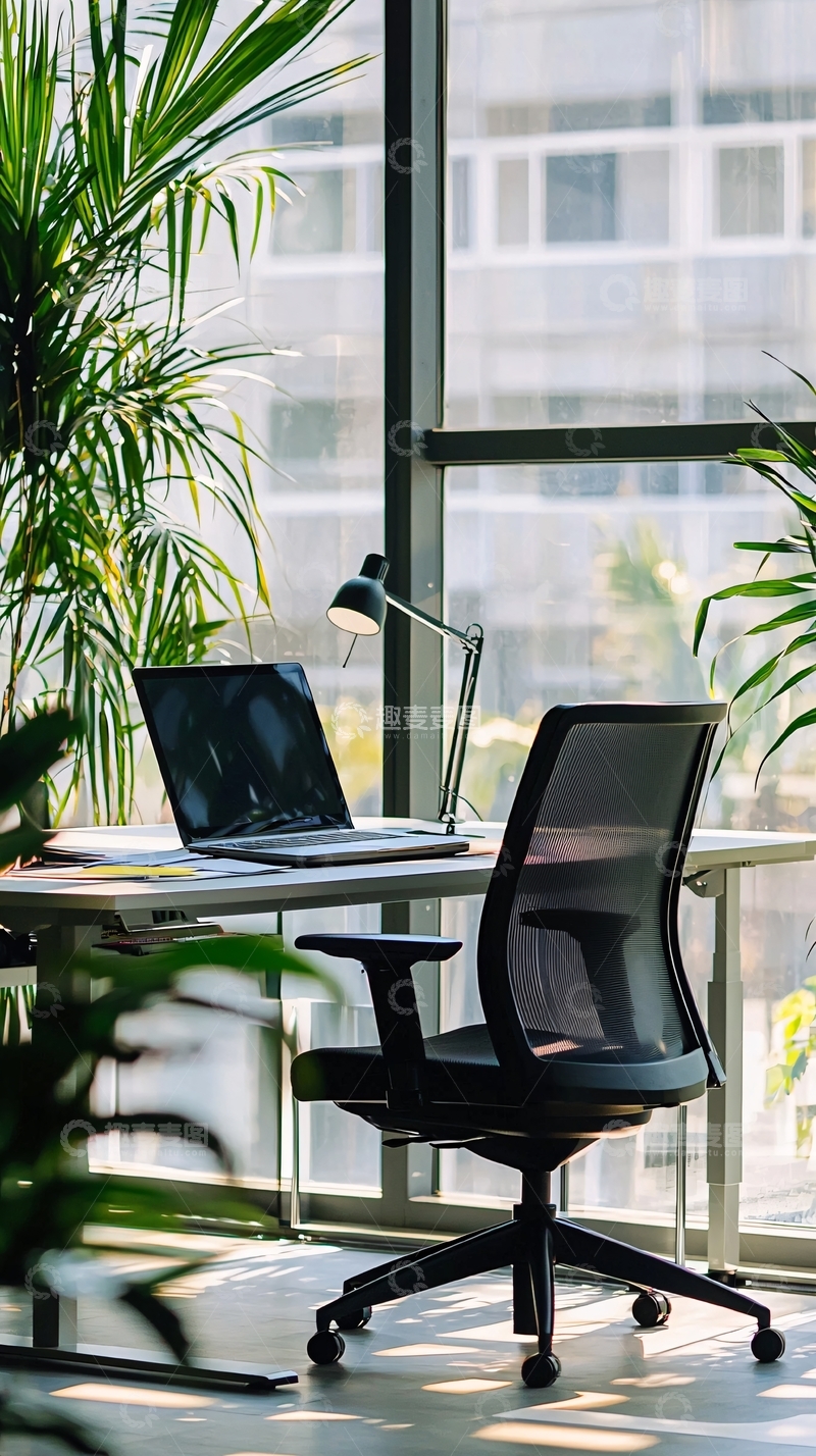 高清大图下载【趣麦麦图】明亮办公室绿植电脑桌椅