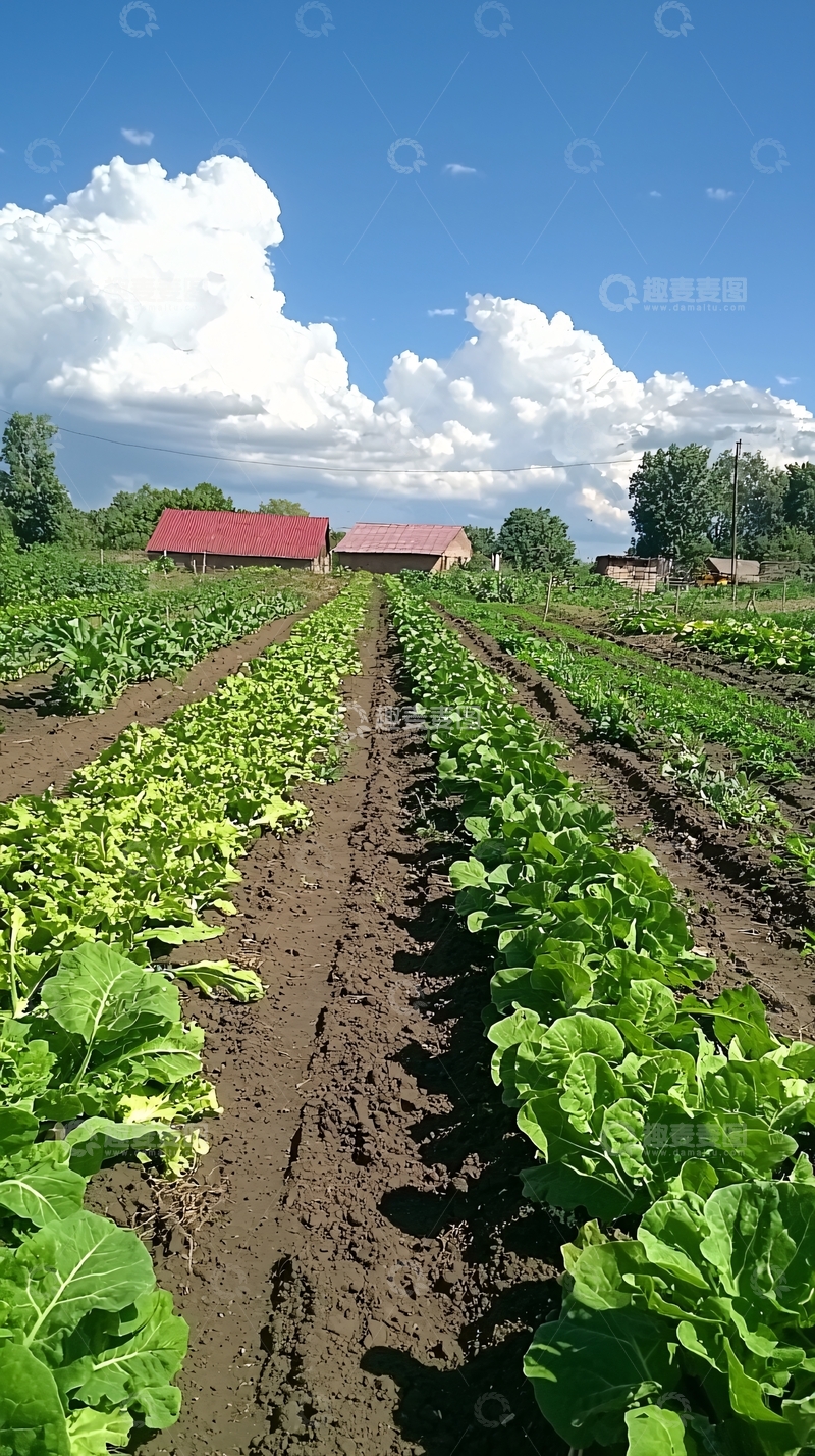 高清大图下载【趣麦麦图】田园风光197
