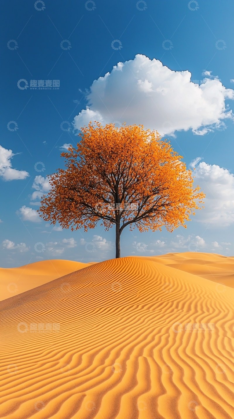 高清大图下载【趣麦麦图】沙漠中的孤独树