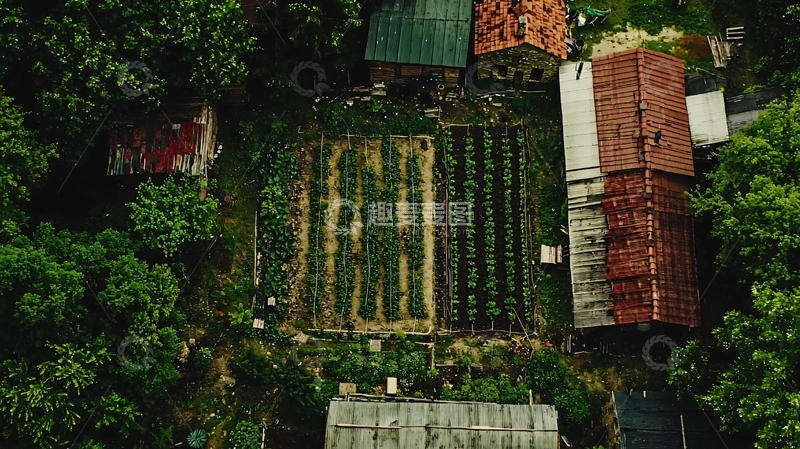 高清大图下载【趣麦麦图】俯瞰田园农舍与菜地