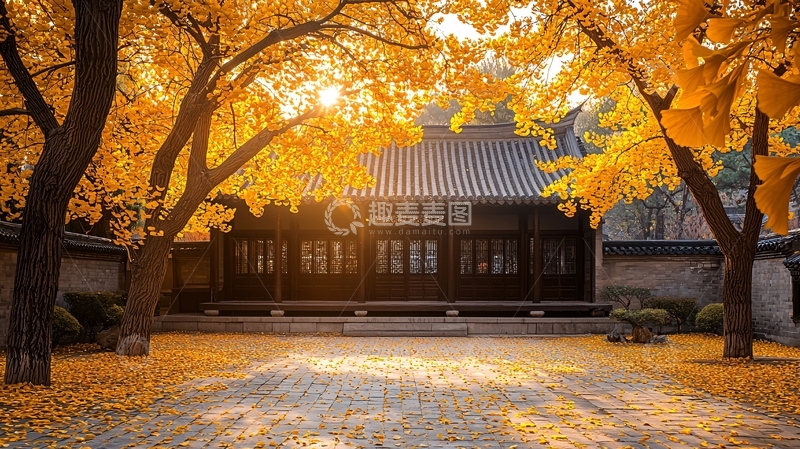 高清大图下载【趣麦麦图】秋日古建筑金黄银杏叶