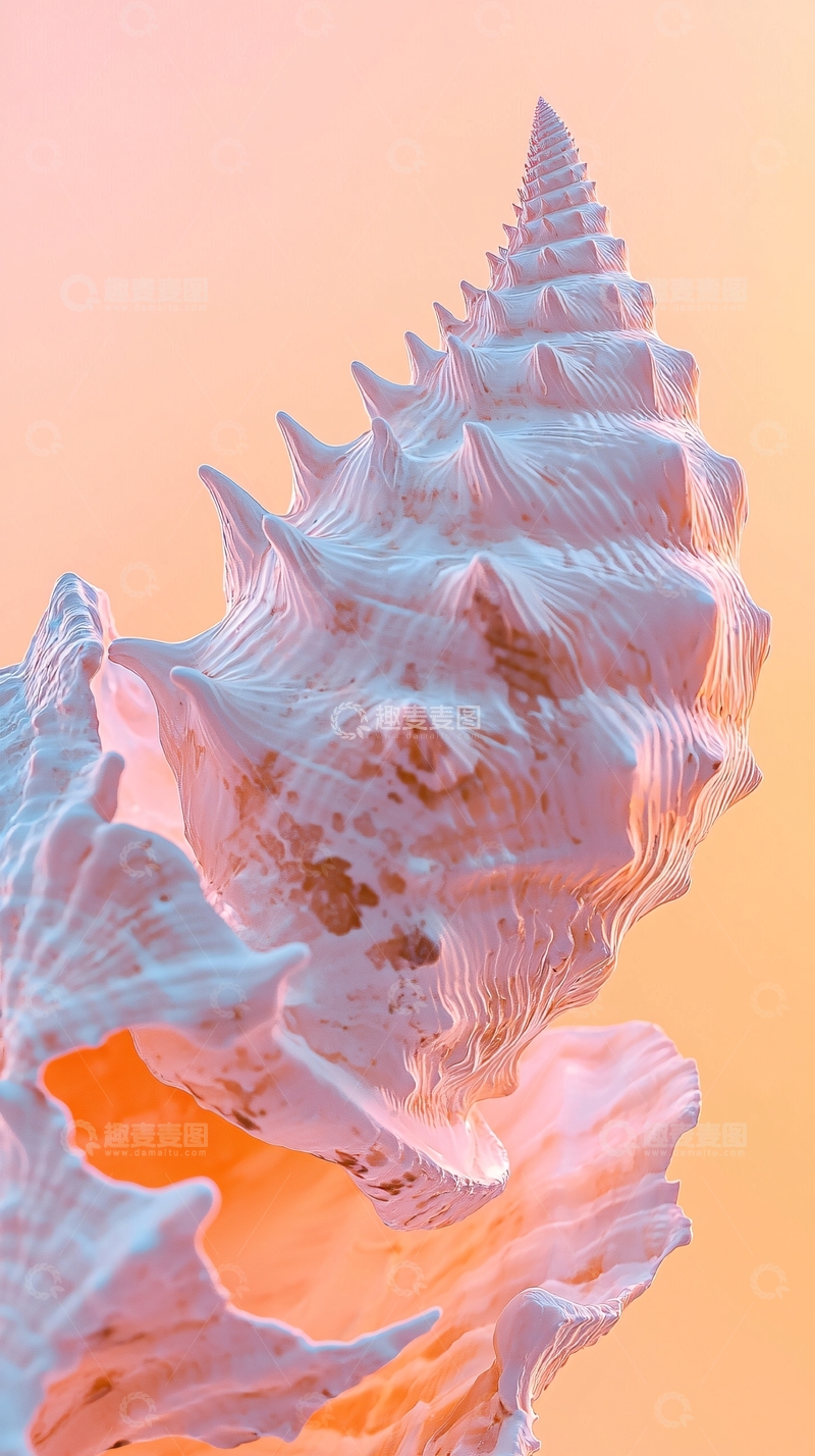 高清大图下载【趣麦麦图】粉色贝壳