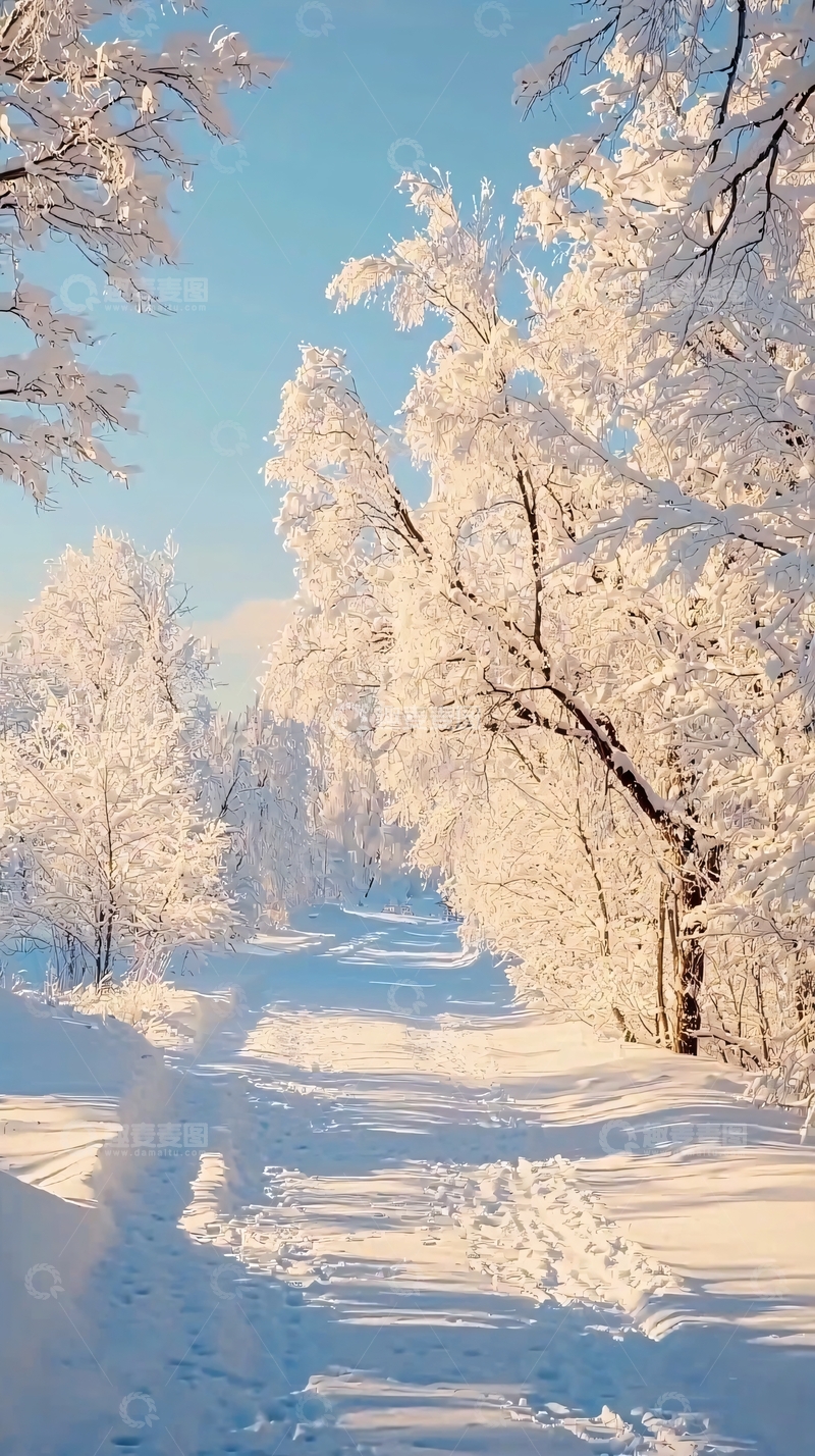 高清大图下载【趣麦麦图】雪景之路