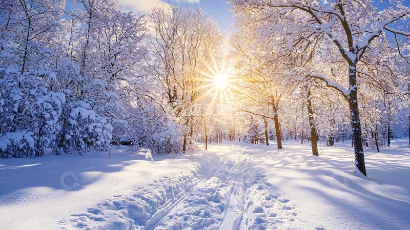 高清大图下载【趣麦麦图】冬日阳光森林雪景