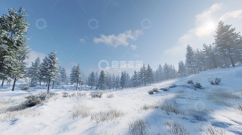 高清大图下载【趣麦麦图】阳光下的雪地松林