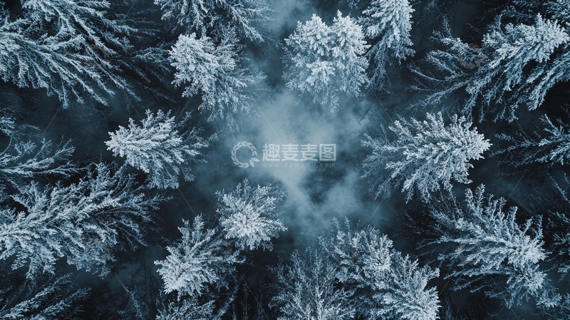 高清大图下载【趣麦麦图】俯瞰雪景松树林
