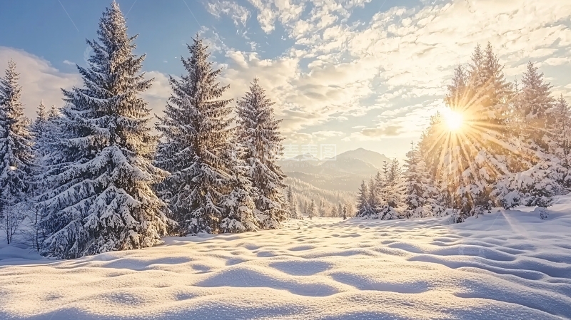 高清大图下载【趣麦麦图】雪山日出松树林