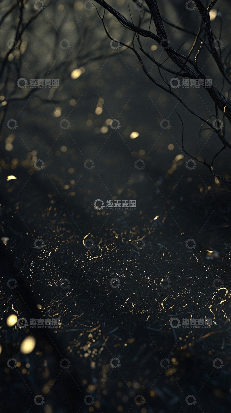 高清大图下载【趣麦麦图】黑暗森林小路