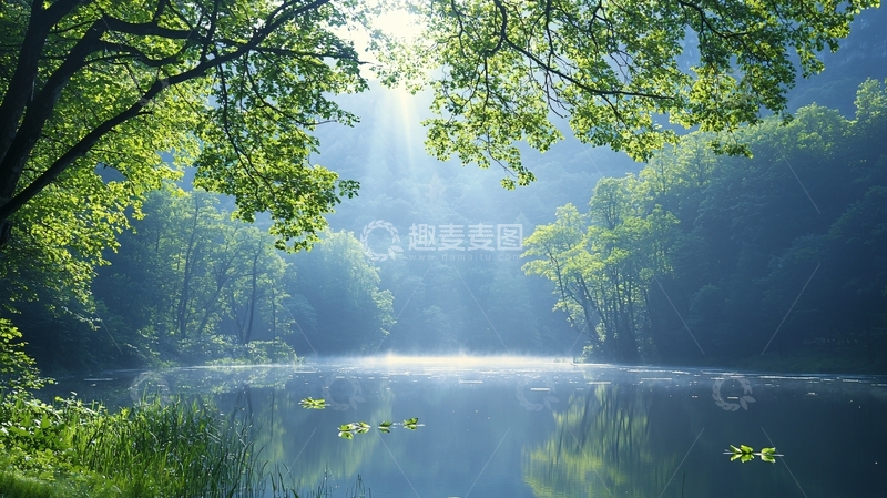 高清大图下载【趣麦麦图】阳光透过树林洒在湖面