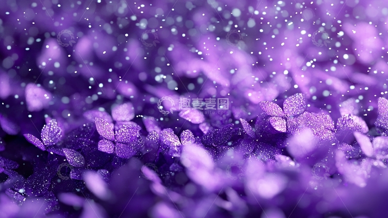 高清大图下载【趣麦麦图】紫色花瓣雨