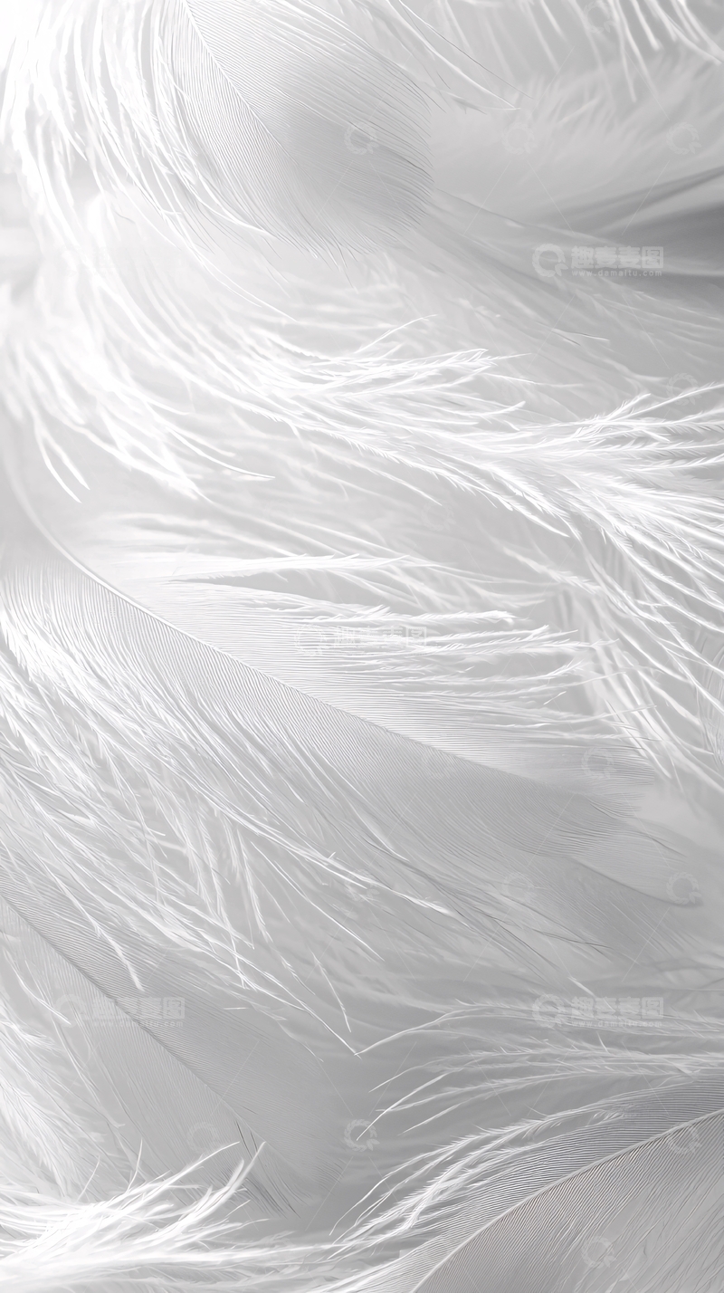 高清大图下载【趣麦麦图】白色羽毛纹理