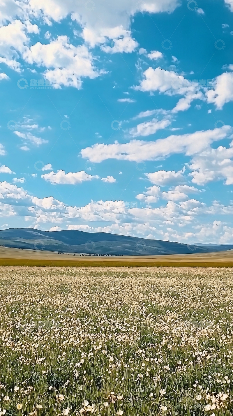 高清大图下载【趣麦麦图】蓝天白云下的广阔田野