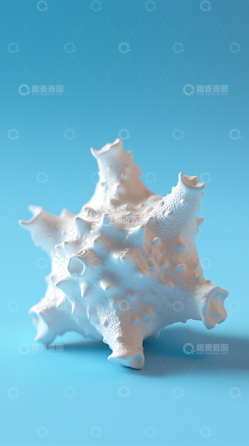 高清大图下载【趣麦麦图】白色贝壳