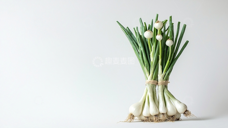 高清大图下载【趣麦麦图】一束新鲜青葱特写