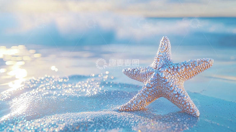 高清大图下载【趣麦麦图】海滩上的白色海星