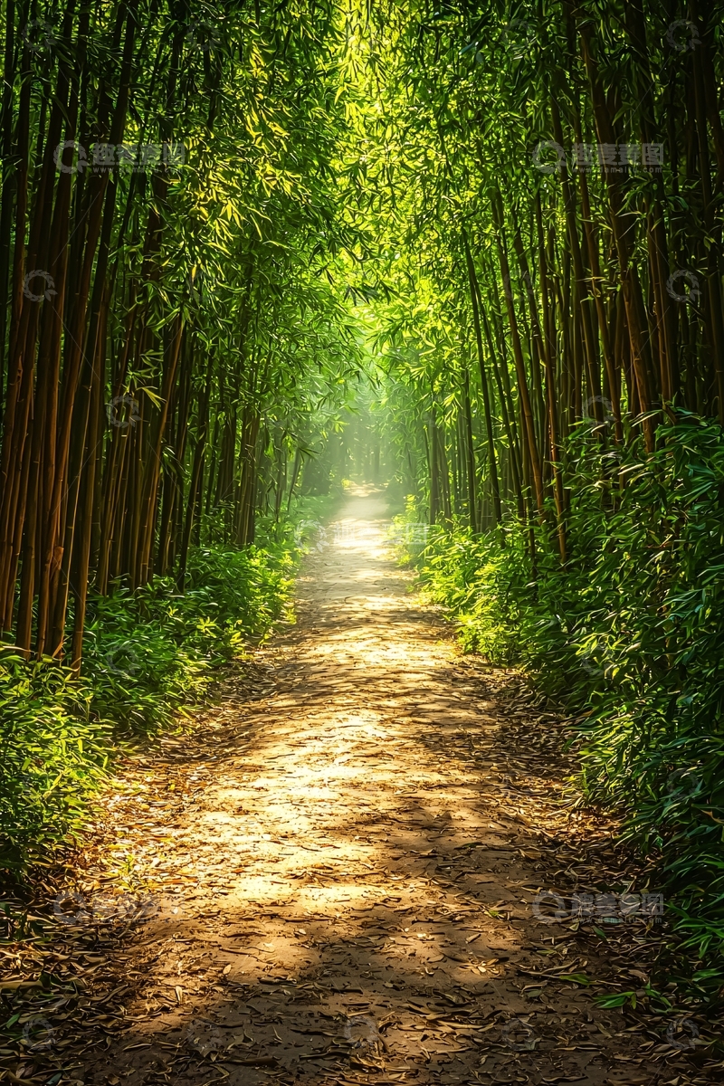 高清大图下载【趣麦麦图】阳光洒落竹林小路