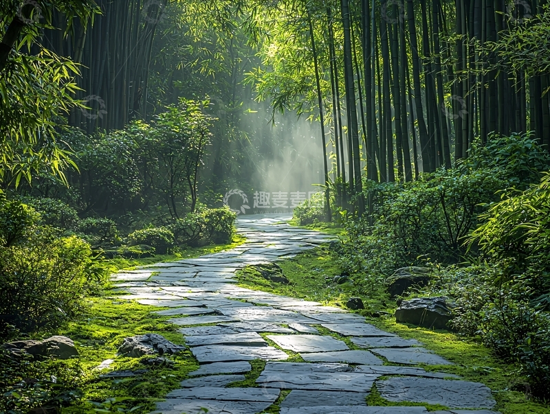 高清大图下载【趣麦麦图】竹林小路阳光明媚