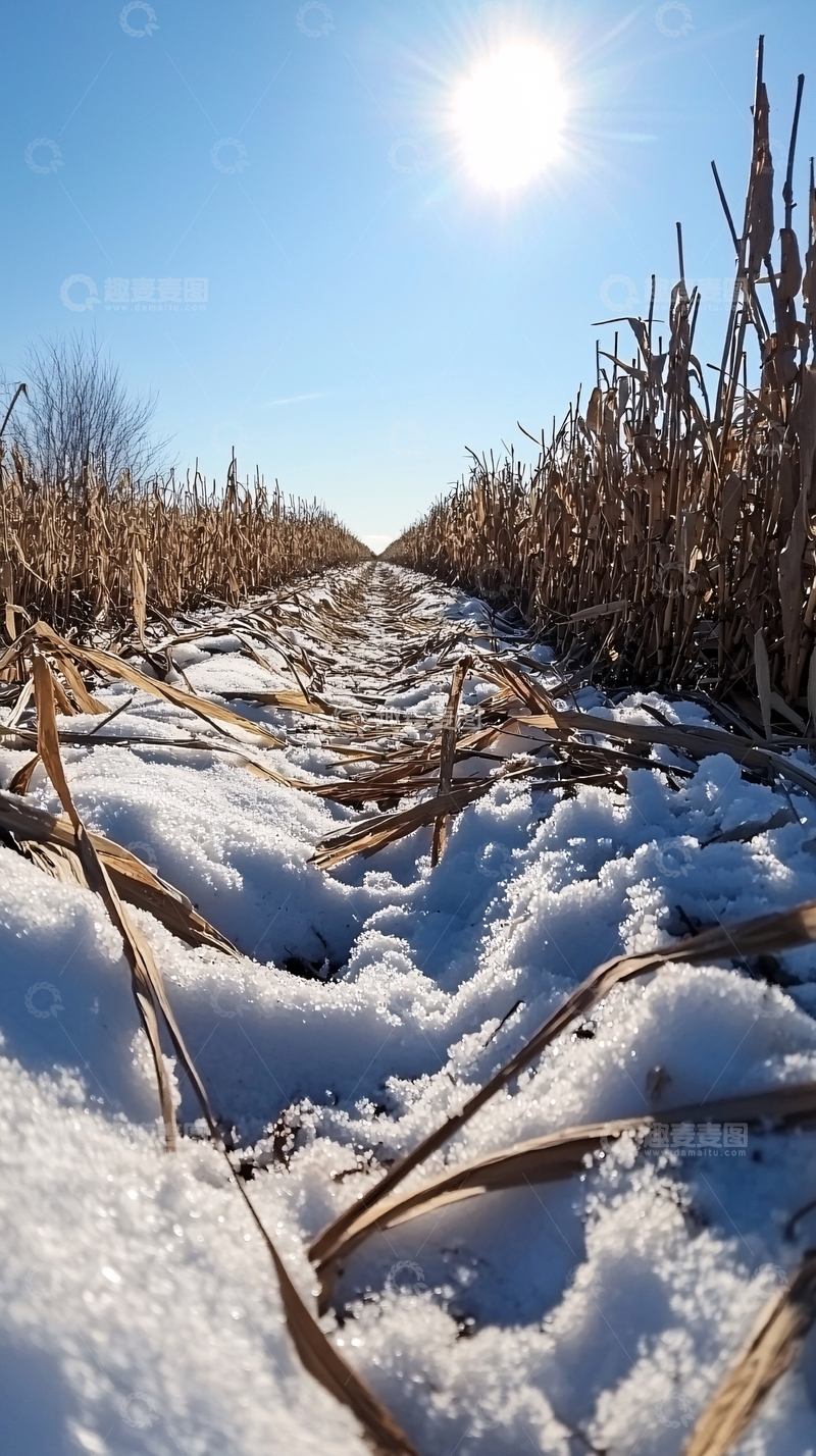 高清大图下载【趣麦麦图】冬季田野雪景