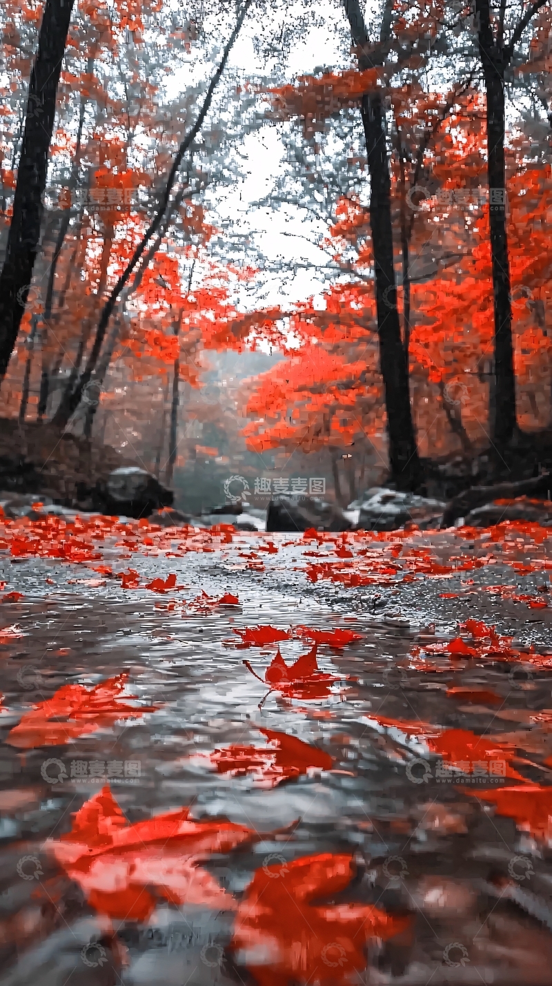 高清大图下载【趣麦麦图】红叶溪流