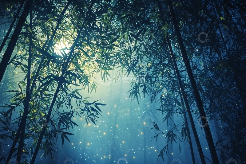 高清大图下载【趣麦麦图】月光下的竹林