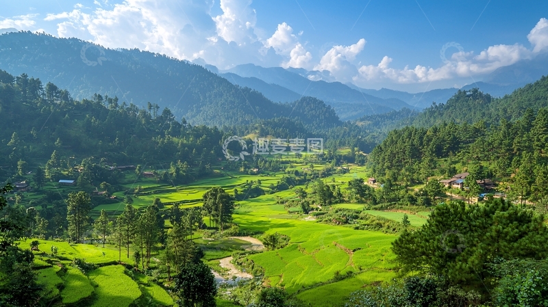 高清大图下载【趣麦麦图】绿色山谷梯田风光