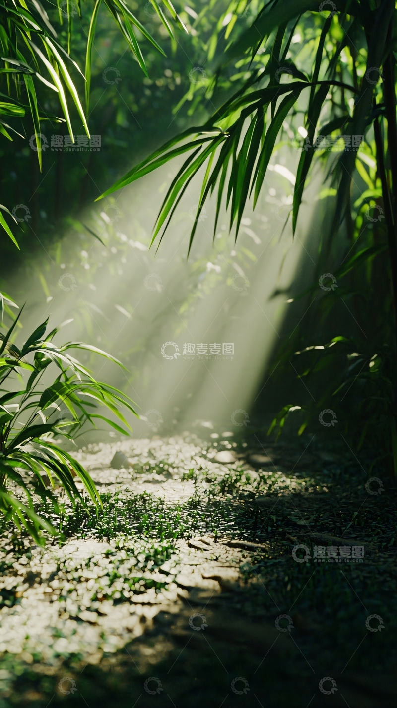 高清大图下载【趣麦麦图】阳光透过树林