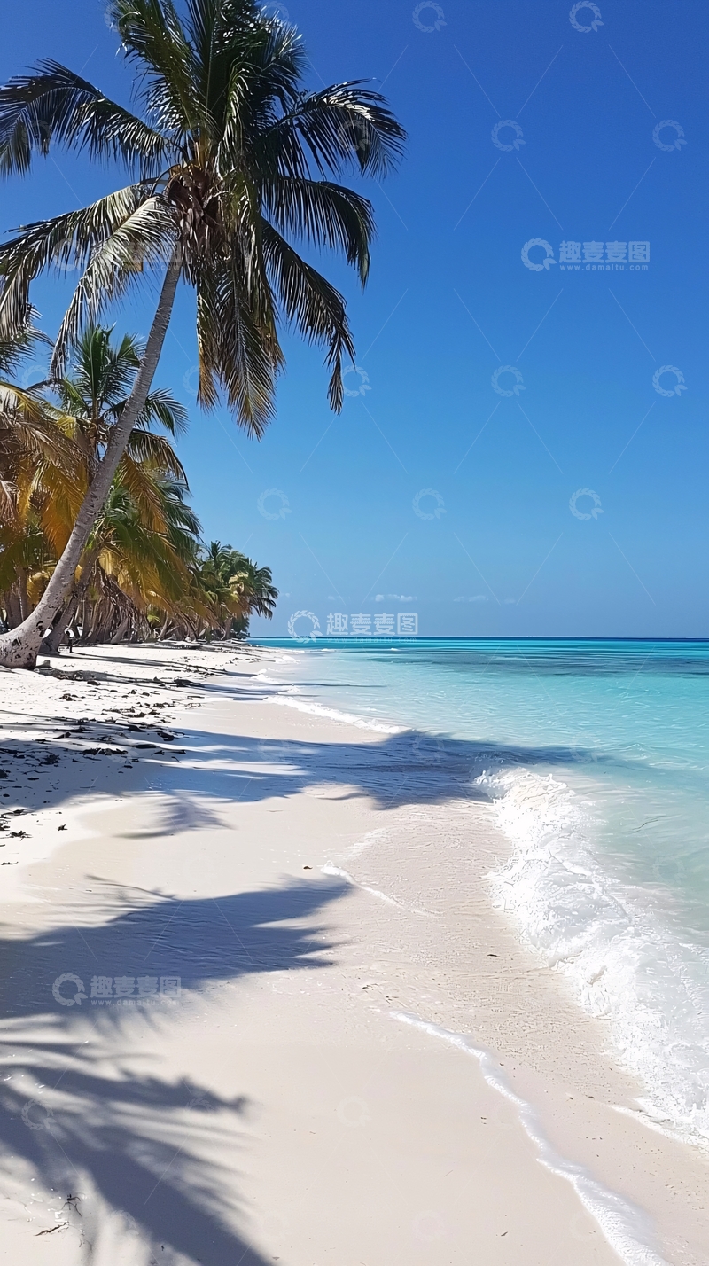 高清大图下载【趣麦麦图】热带海滩椰树白沙