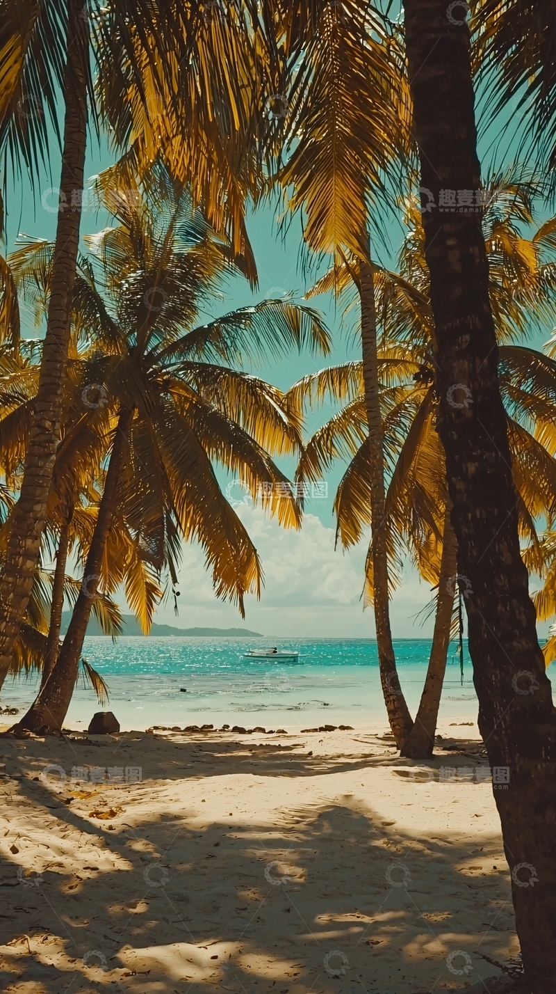 高清大图下载【趣麦麦图】热带海滩椰林