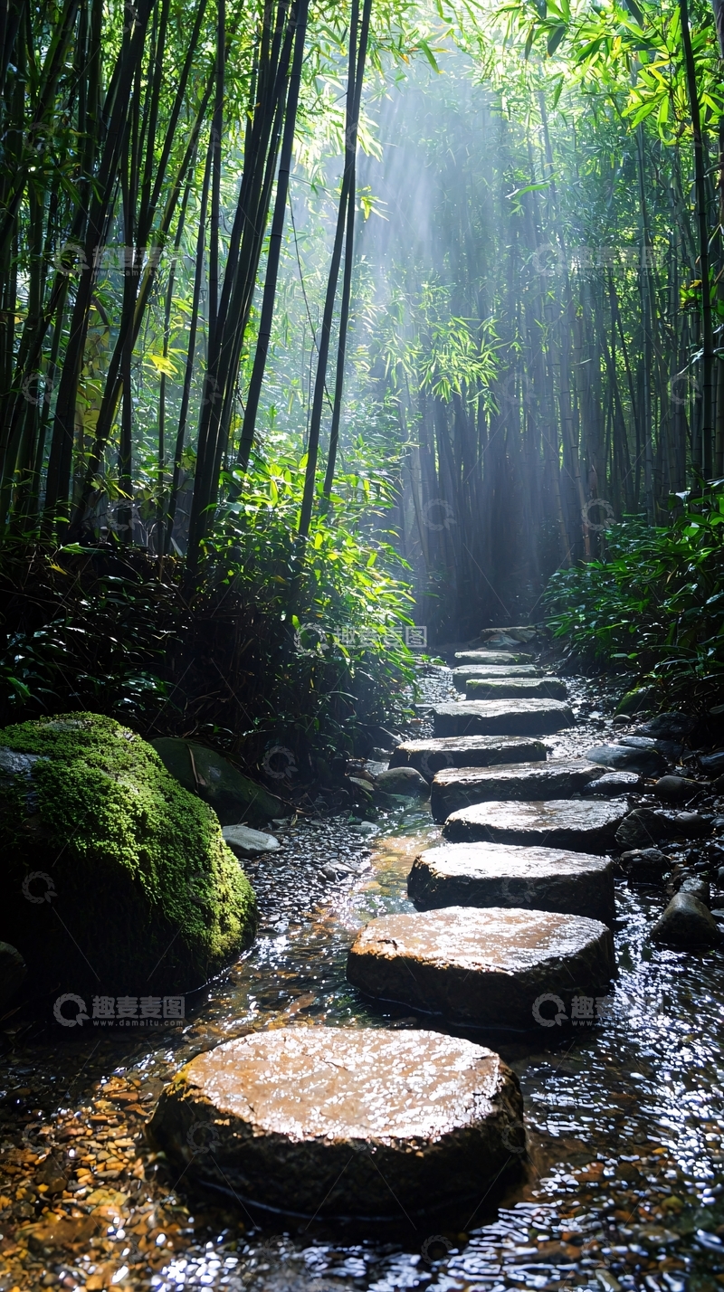 高清大图下载【趣麦麦图】竹林间阳光照射的石板路