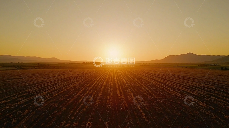 高清大图下载【趣麦麦图】日落田野平原景色