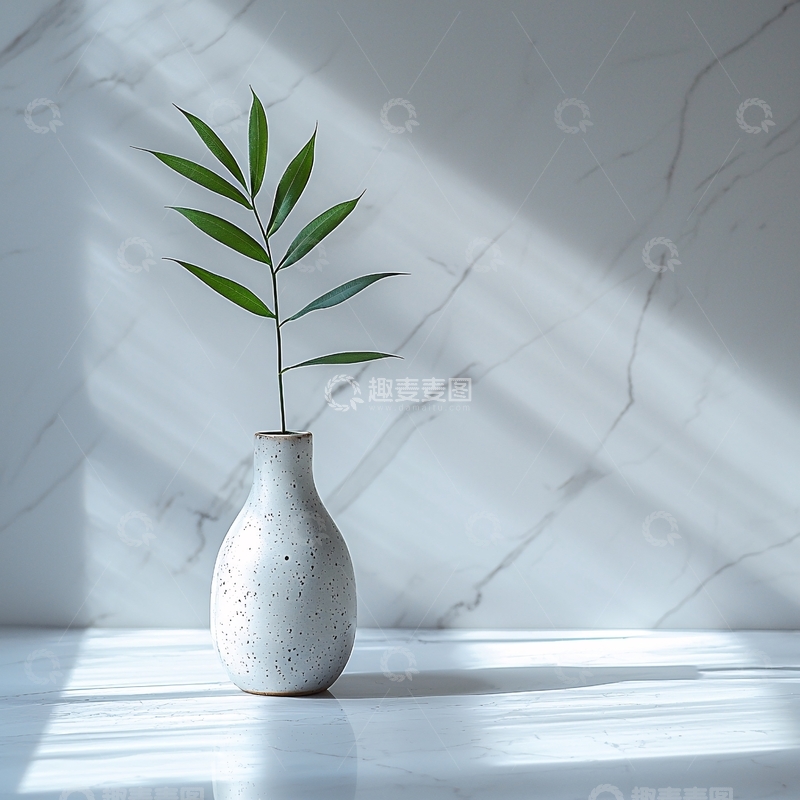 高清大图下载【趣麦麦图】极简主义花瓶绿植光影