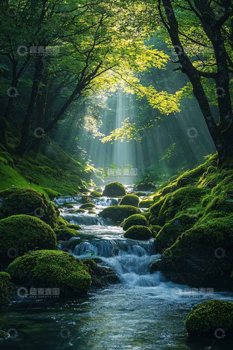 高清大图下载【趣麦麦图】绿意盎然的森林小溪