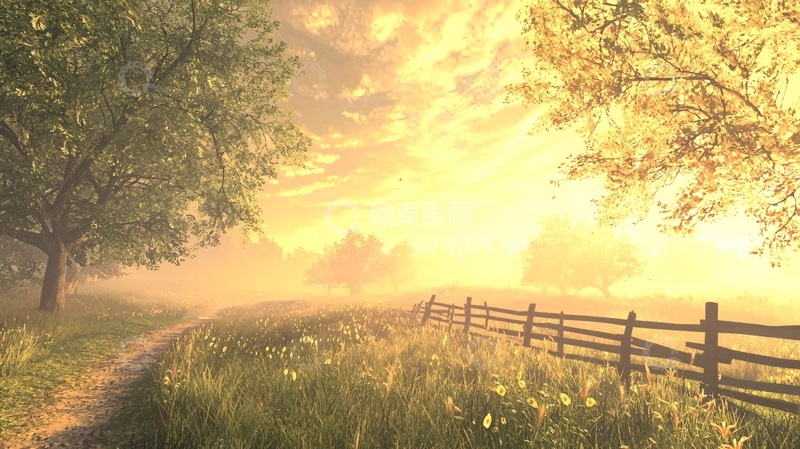 高清大图下载【趣麦麦图】清晨乡间小路雾气阳光