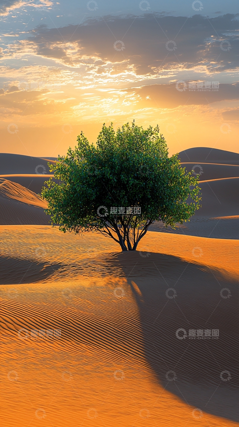 高清大图下载【趣麦麦图】沙漠中的绿树夕阳