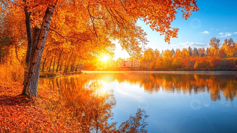 高清大图下载【趣麦麦图】秋日暖阳下的湖边红叶