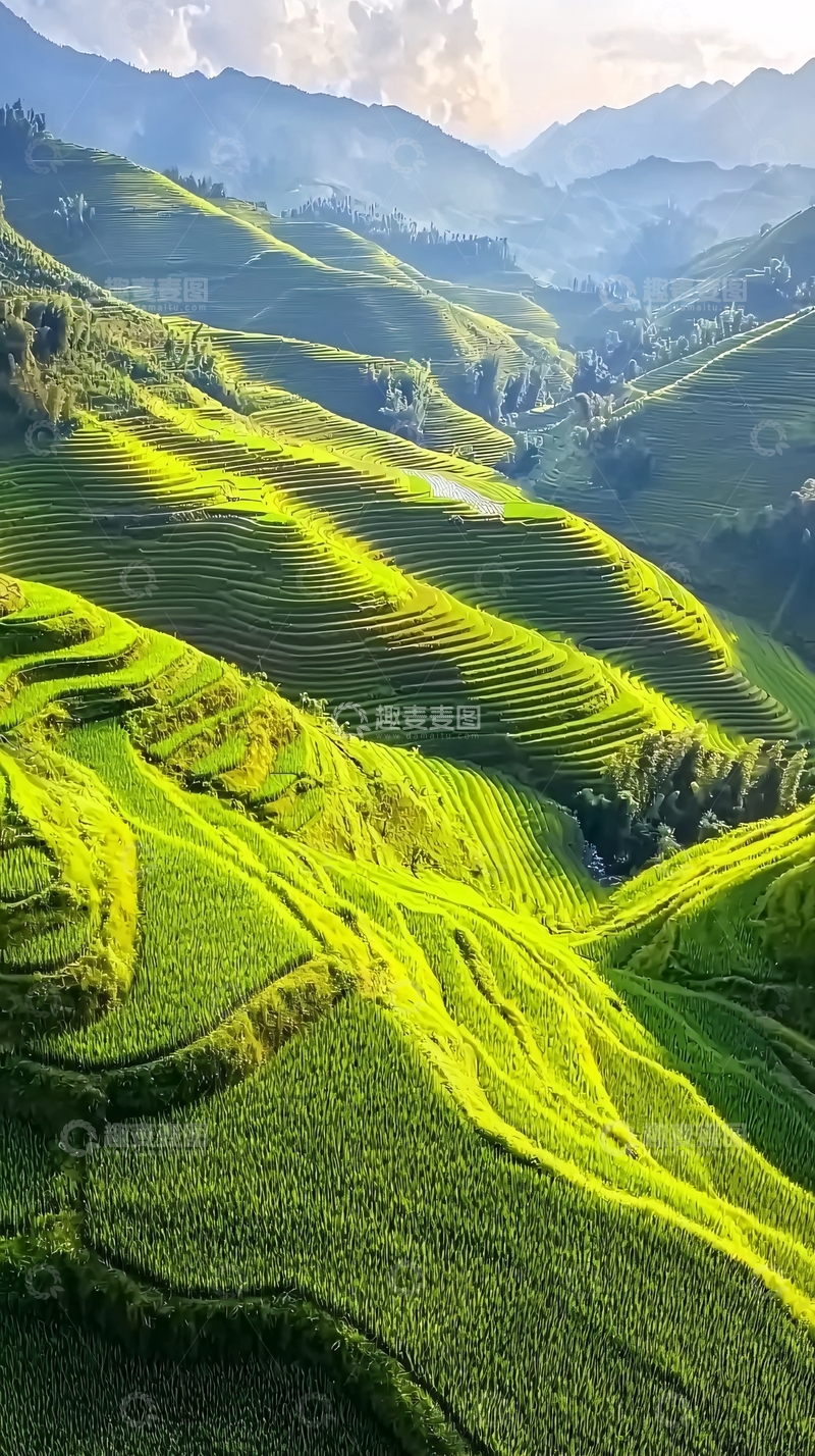 高清大图下载【趣麦麦图】梯田
