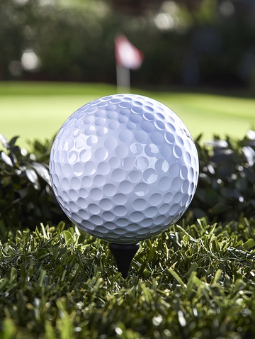 高尔夫球在球座上