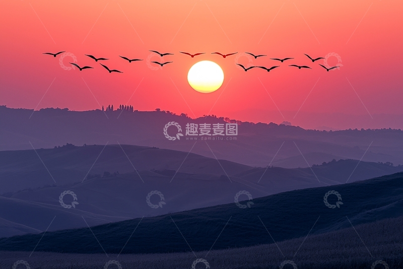高清大图下载【趣麦麦图】夕阳下群鸟飞翔的剪影