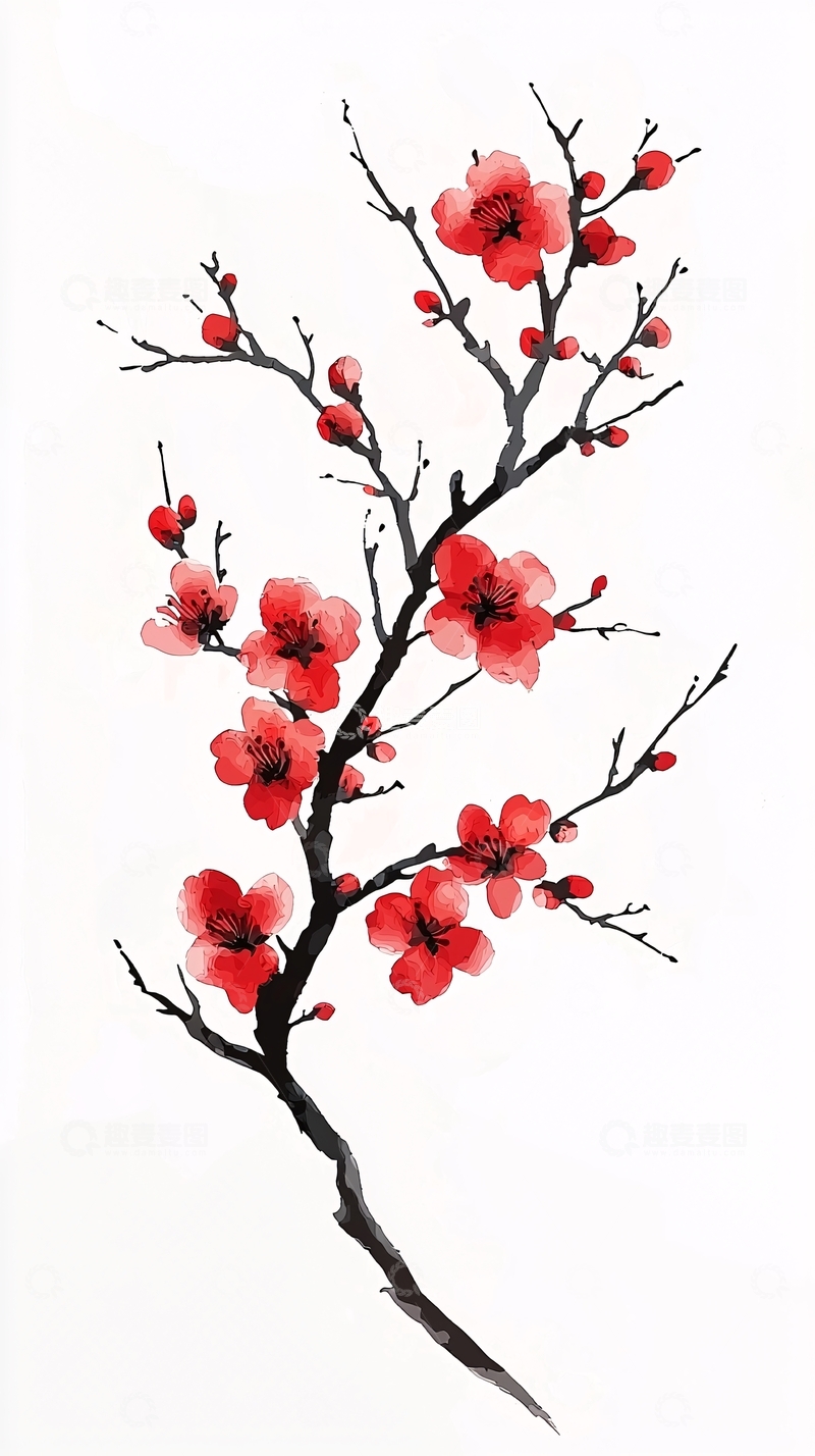高清大图下载【趣麦麦图】红梅枝条水墨画