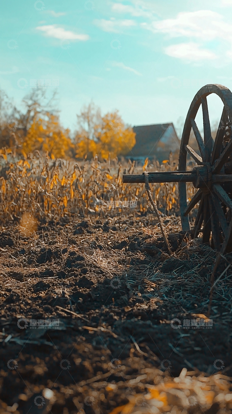 高清大图下载【趣麦麦图】田野里古老的木制车轮