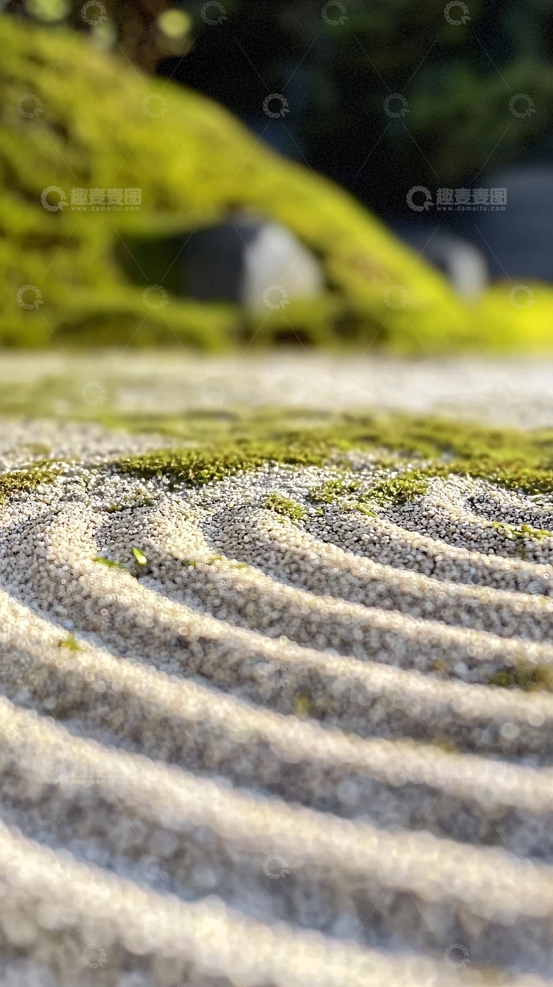 高清大图下载【趣麦麦图】禅意花园