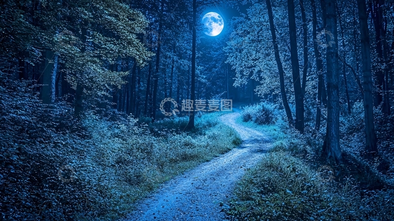 高清大图下载【趣麦麦图】月光森林小路