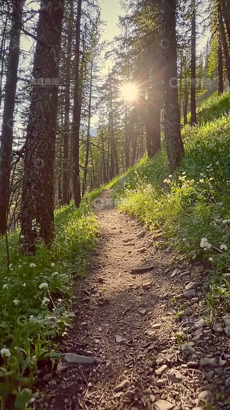 高清大图下载【趣麦麦图】森林小路