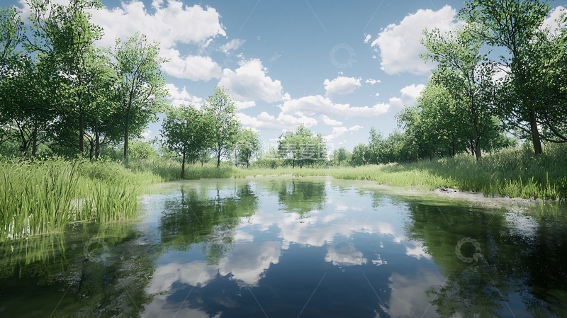 高清大图下载【趣麦麦图】阳光明媚下的湖边树林