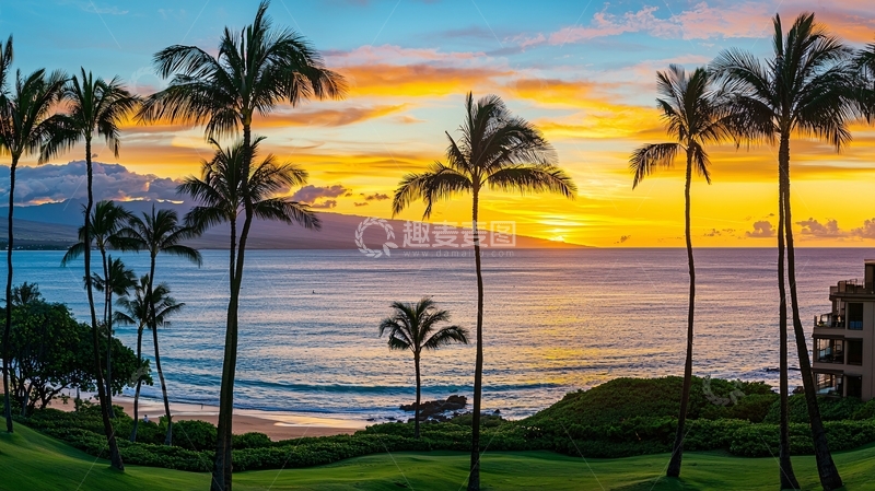 高清大图下载【趣麦麦图】海边日落椰子树