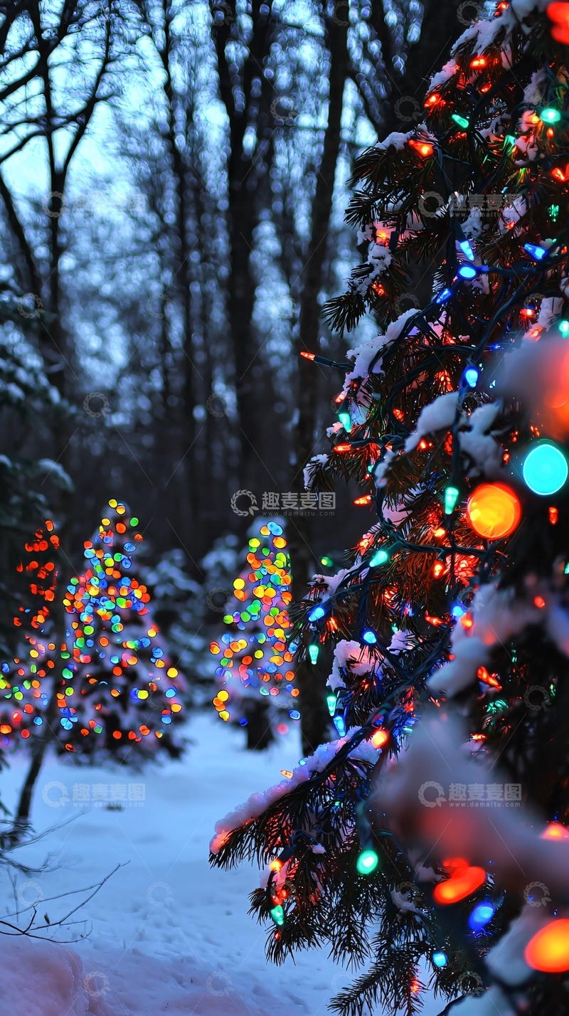 高清大图下载【趣麦麦图】雪地里彩灯闪烁的圣诞树